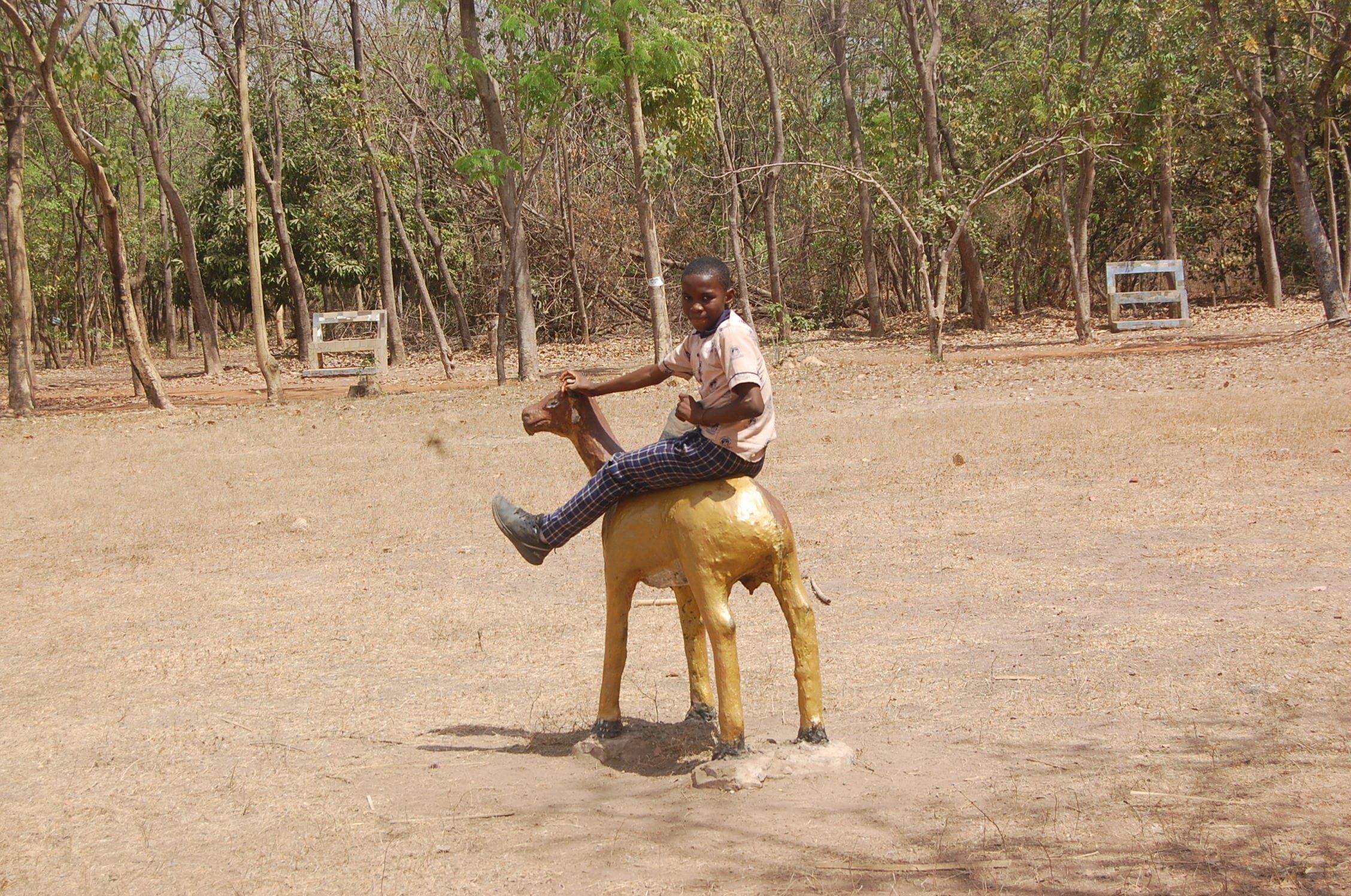 Un élève en uniforme est assis à califourchon sur une sculpture d’animal peinte en doré, tenant ses cornes, dans une clairière sèche lors d’une sortie éducative.
